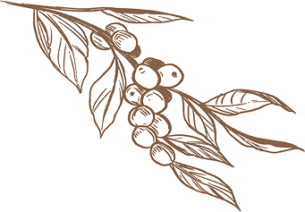 banner lest shape layer model